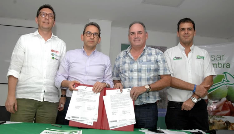 Productores agropecuarios del Cesar cuentan con recursos de fomento