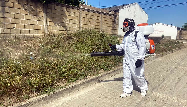 Declaran la alerta amarilla en cuatro municipios de Sucre por el aumento inusitado de casos de Dengue