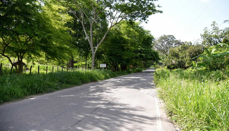 Gobernación del Cesar contrata la pavimentación de la vía La Paz - Manaure